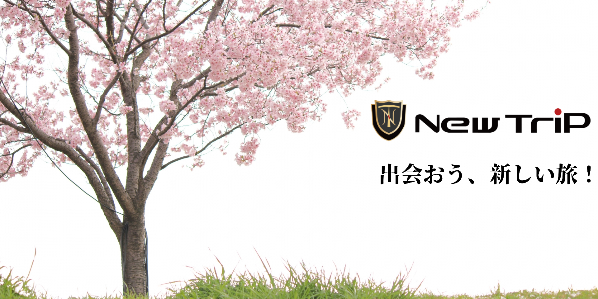 春休みのお出かけにぴったり!サイズ別スーツケースのおすすめと行き先ガイド