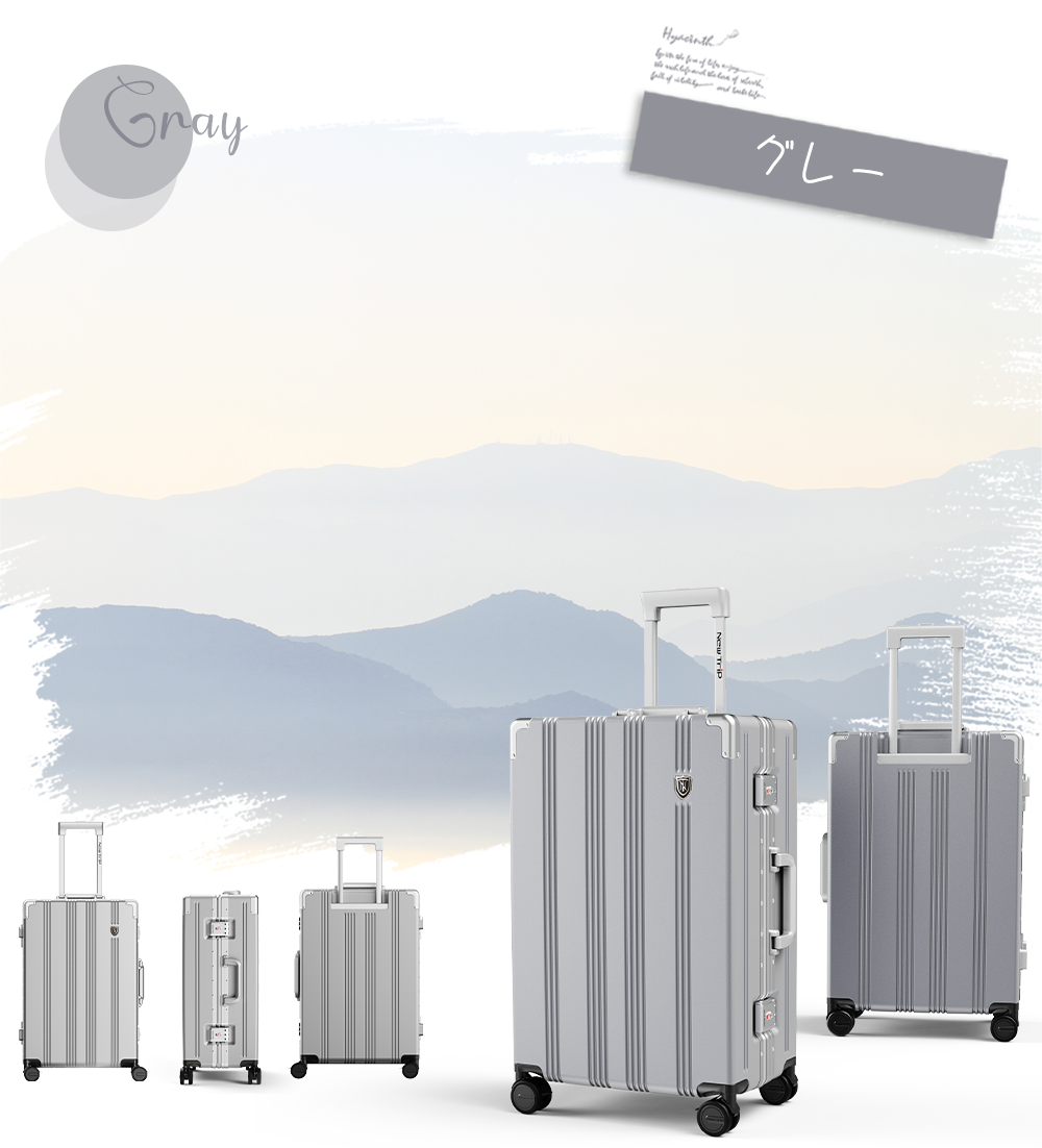 New Trip スーツケース 耐衝撃 静音キャスター搭載 アルミフレーム 1101 Top.3 ビジネスおすすめ