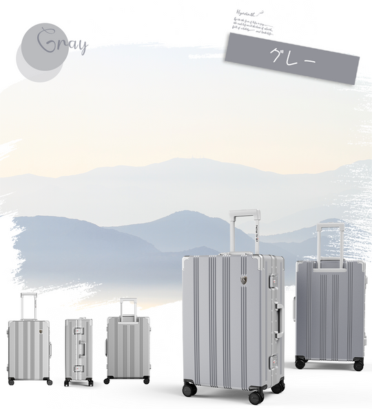 New Trip スーツケース 耐衝撃 静音キャスター搭載 アルミフレーム 1101 Top.3 ビジネスおすすめ