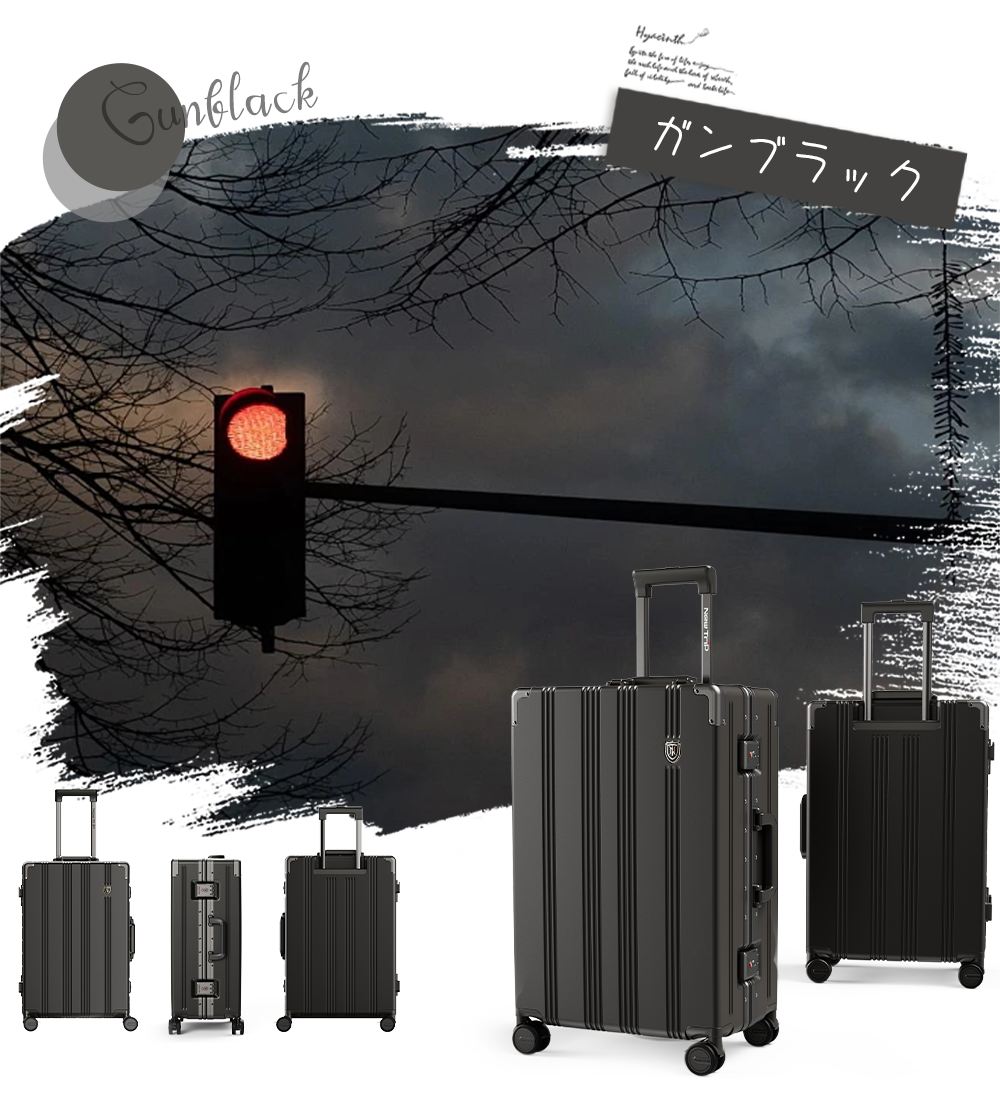 New Trip スーツケース 耐衝撃 静音キャスター搭載 アルミフレーム 1101 Top.3 ビジネスおすすめ