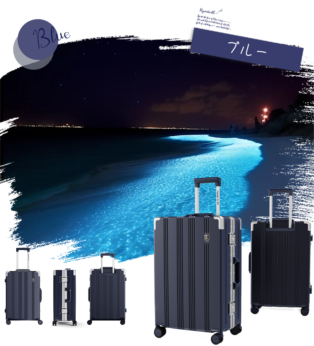 New Trip スーツケース 耐衝撃 静音キャスター搭載 アルミフレーム 1101 Top.3 ビジネスおすすめ