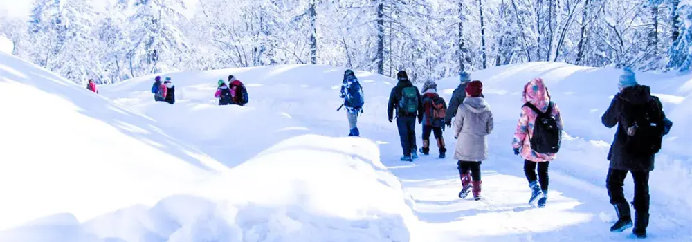 雪国では弱点が一気に表面化します。