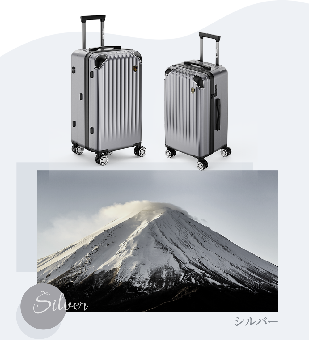 New Trip] 0211 スーツケース 5輪キャスター ブレーキ付 大容量 68L/105L