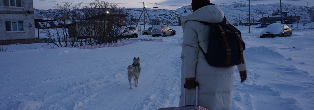 New Tripのモデルの中から 雪国と相性の良い3つのスーツケース を厳選して紹介します