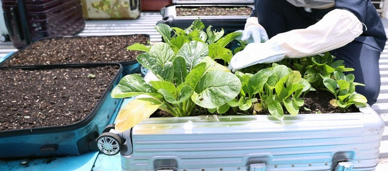 屋上庭園のプランターにしたり、リビングの収納ボックスにしたりと、様々な形で再利用できます。