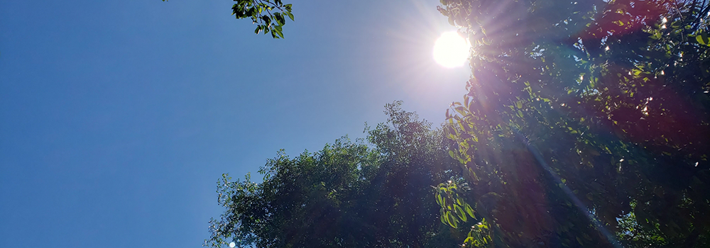 9月でも30度を超える真夏日が続く中、屋外を長時間移動する旅行者にとって最も注意すべきは熱中症です。