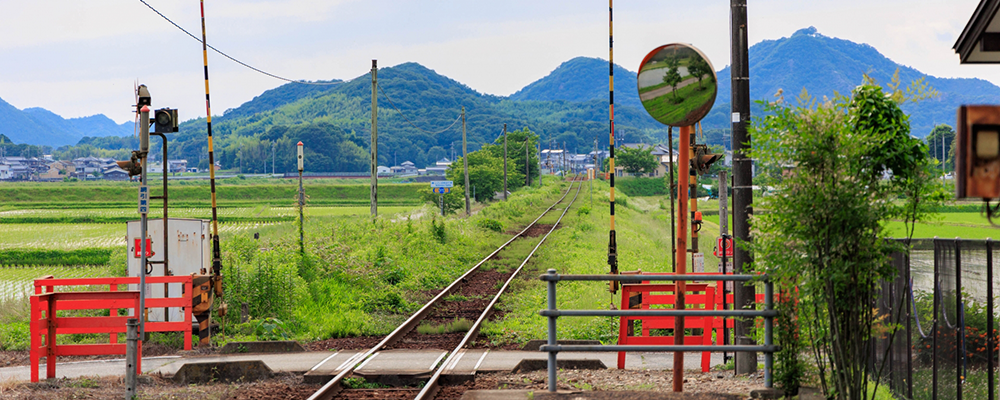 今回は、お盆の帰省に最適、New Tripのおすすめキャリーケースを2つご紹介します。